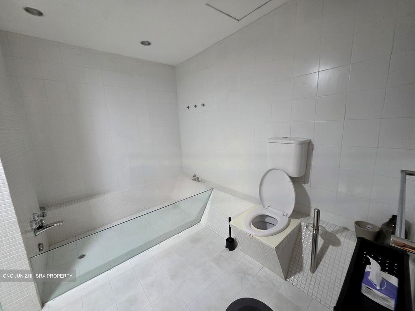 Sommerville Grandeur (D10), Condominium #486467551